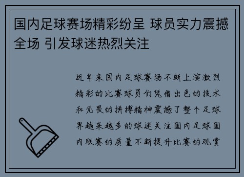 国内足球赛场精彩纷呈 球员实力震撼全场 引发球迷热烈关注