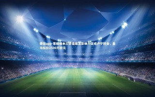 德信app-意媒曝米兰欲借魔笛影响力促成卢宁转会，皇马标价2500万欧元