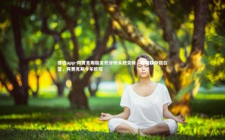 德信app-阿贾克斯稳坐积分榜头把交椅，欧国联夺冠在望，阿贾克斯今年欧冠
