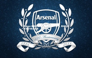 德信app-曼晚深度解析，英超高空战术盛行，曼城引进多纳鲁马彰显智慧