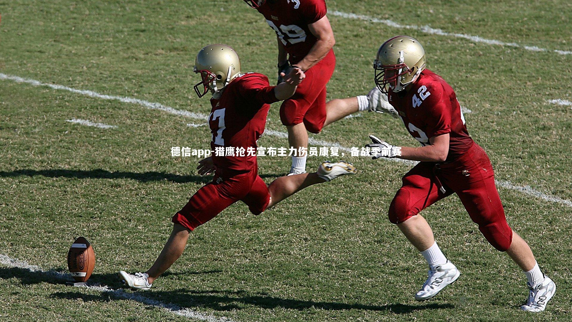 德信app-猎鹰抢先宣布主力伤员康复,备战季前赛-第2张图片-德信app 德信app-猎鹰抢先宣布主力伤员康复,备战季前赛-第2张图片-德信app