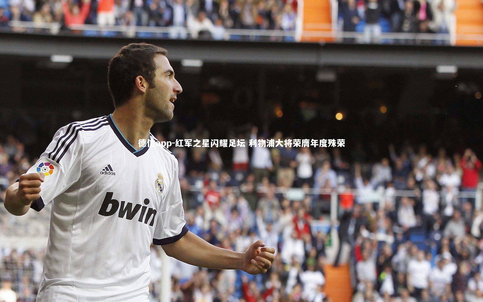 德信app-红军之星闪耀足坛 利物浦大将荣膺年度殊荣-第2张图片-德信app 德信app-红军之星闪耀足坛 利物浦大将荣膺年度殊荣-第2张图片-德信app